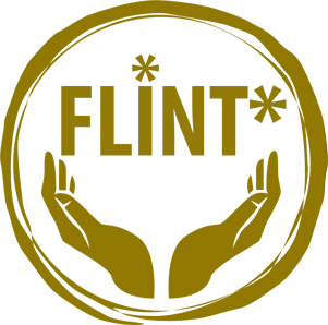 Unternehmensführung: FLINT*