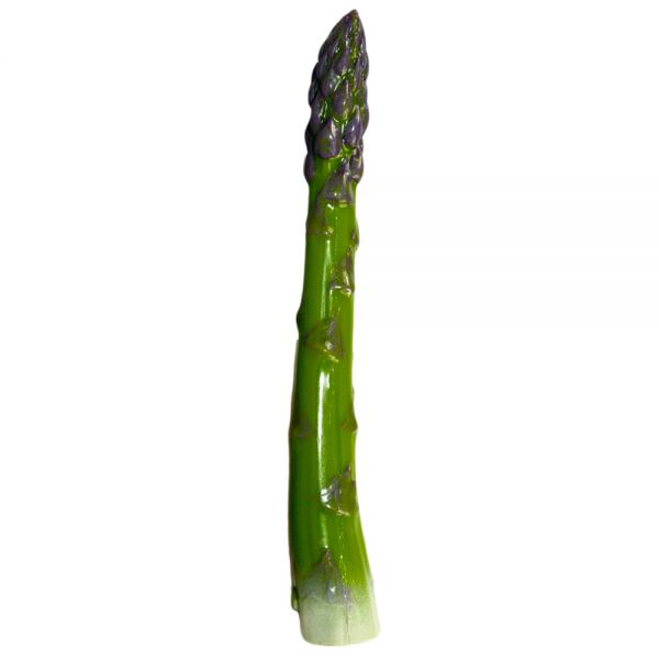 Spargel