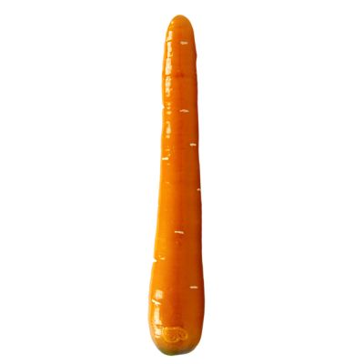 Carrot