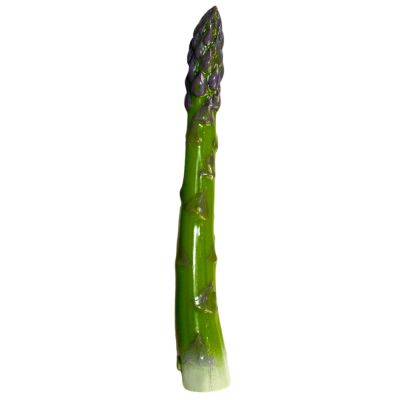 Asparagus