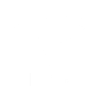 Fair - Toy  | Spielzeuge - fair und hochwertig
